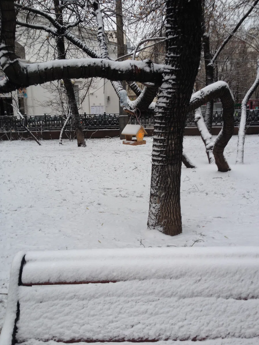 Смешанные каталоги и подборки IMG_1326
