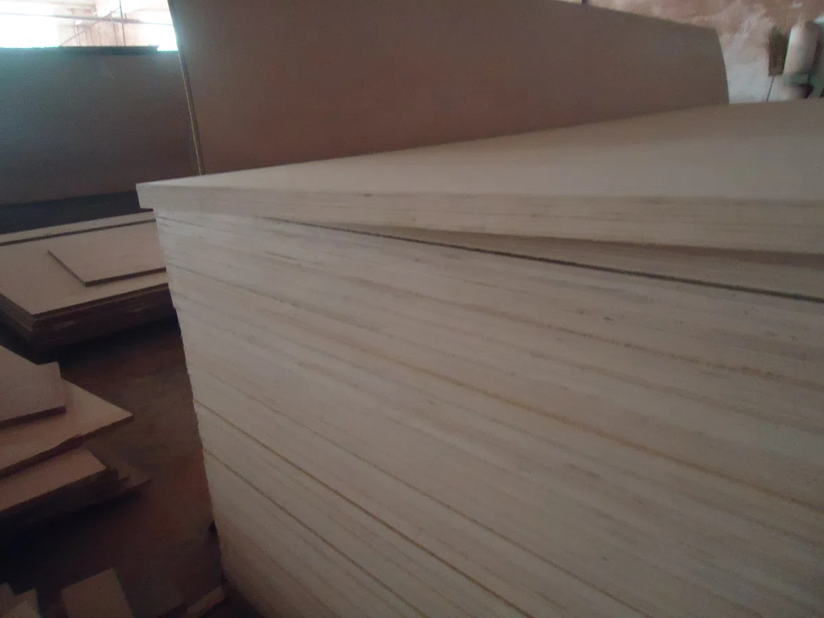 Flooring, wood and stone DSC08037