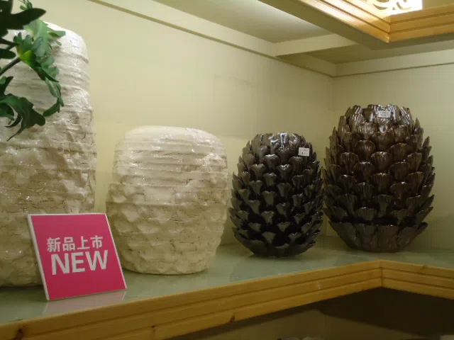 Decor and interior accessory selections DSC03826