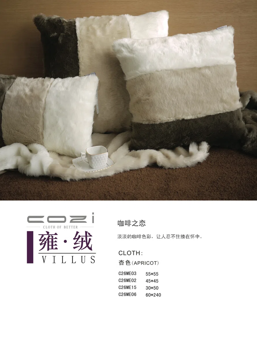 综合目录与选集 520