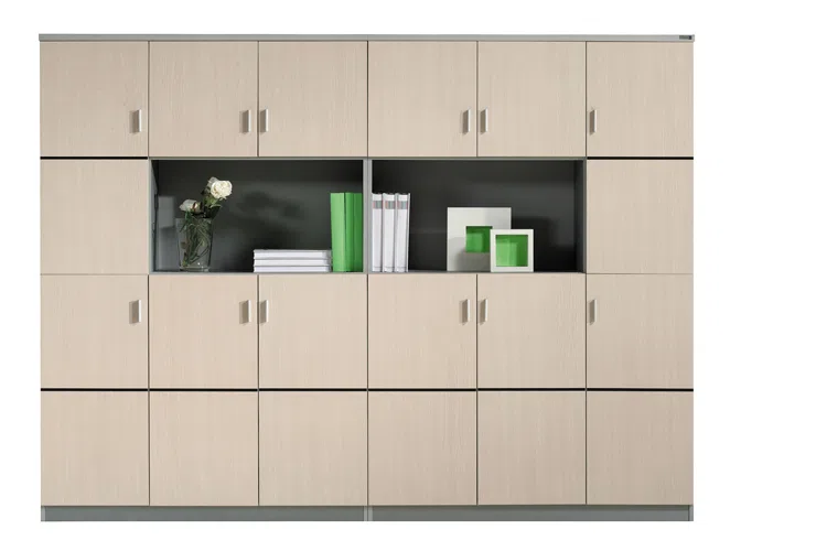 Cabinets, dressers and shelves SWB035