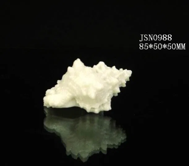 Смешанные каталоги и подборки JSN0988