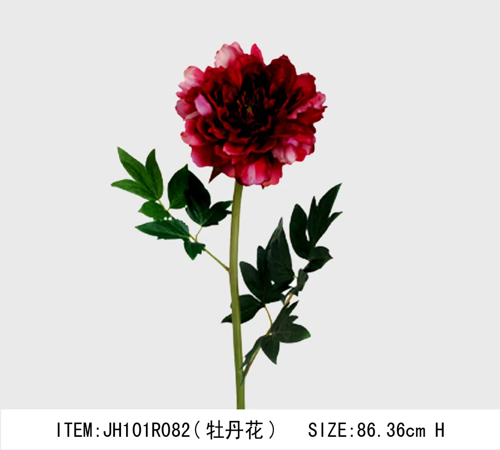 Декоративные растения и флористика JH101R082