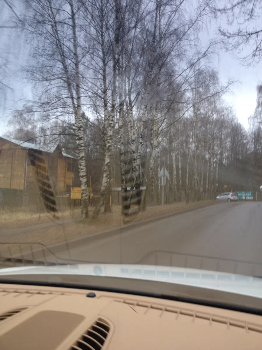 Смешанные каталоги и подборки IMG_0929