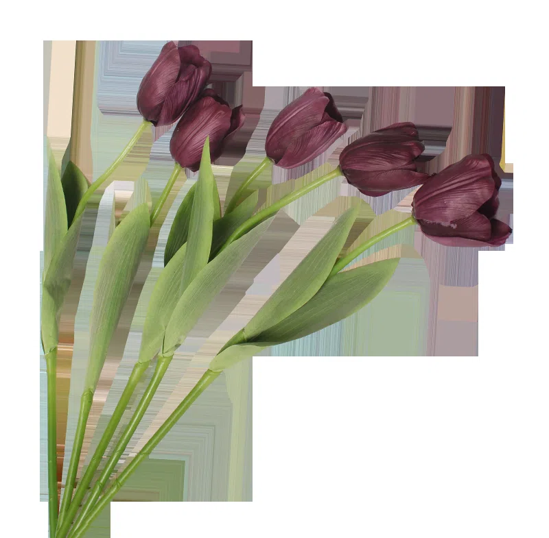 Декоративные растения и флористика 6069166F07F9