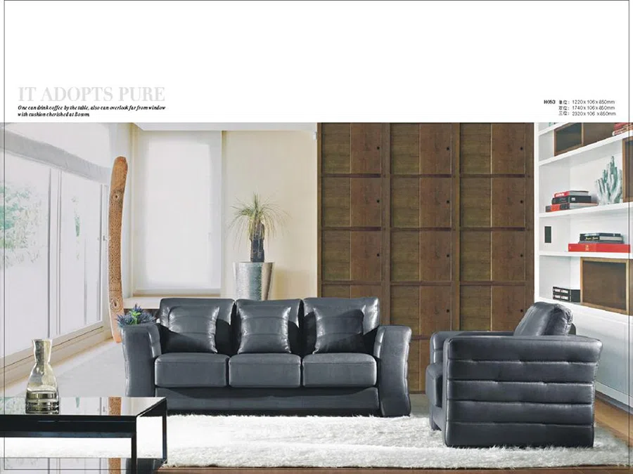 Sofas and couches H083
