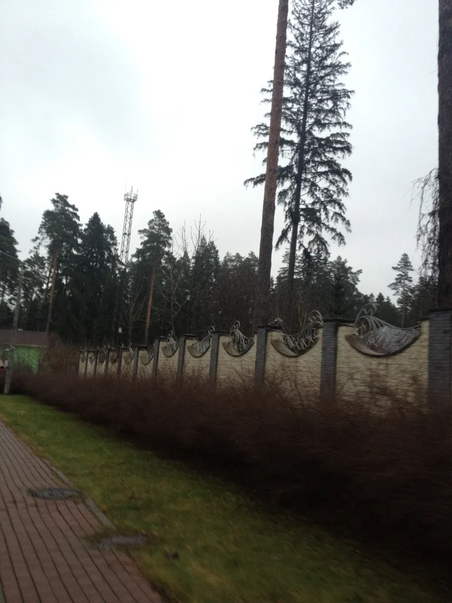 Смешанные каталоги и подборки IMG_1033