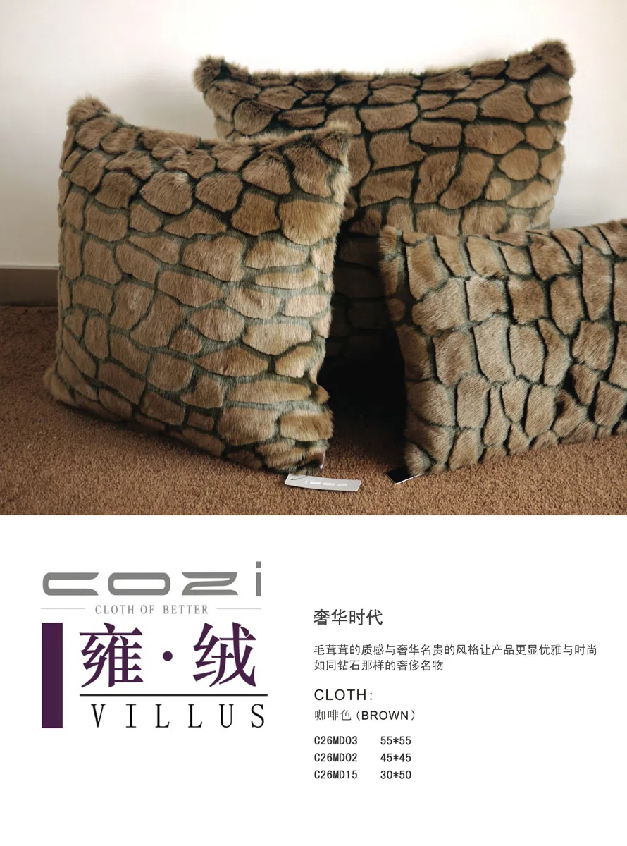 综合目录与选集 521