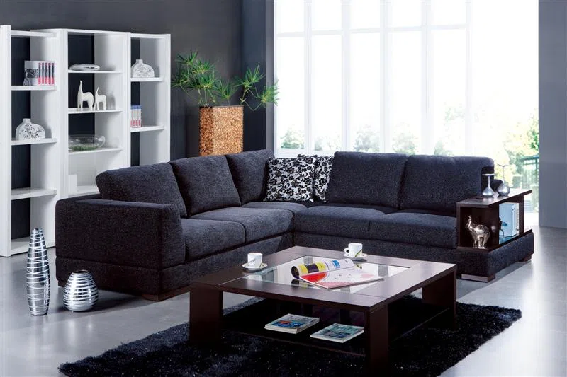 Sofas and couches P010)G153 TA65L