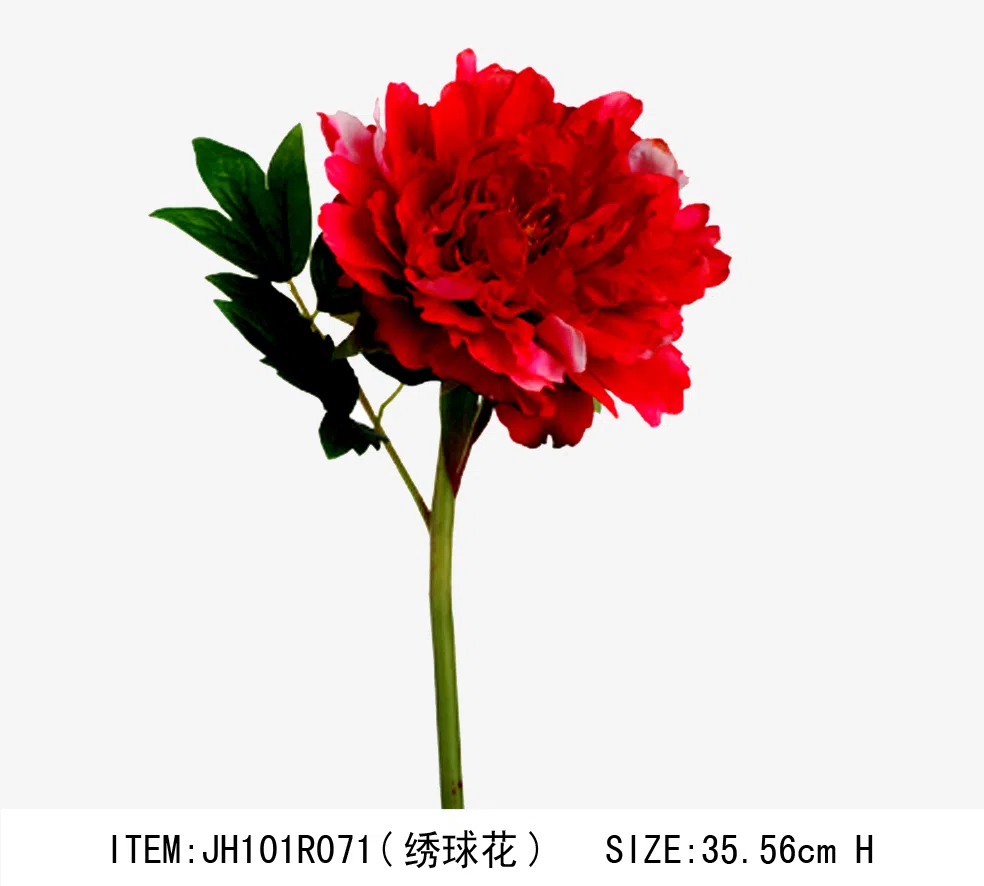 Декоративные растения и флористика JH101R071