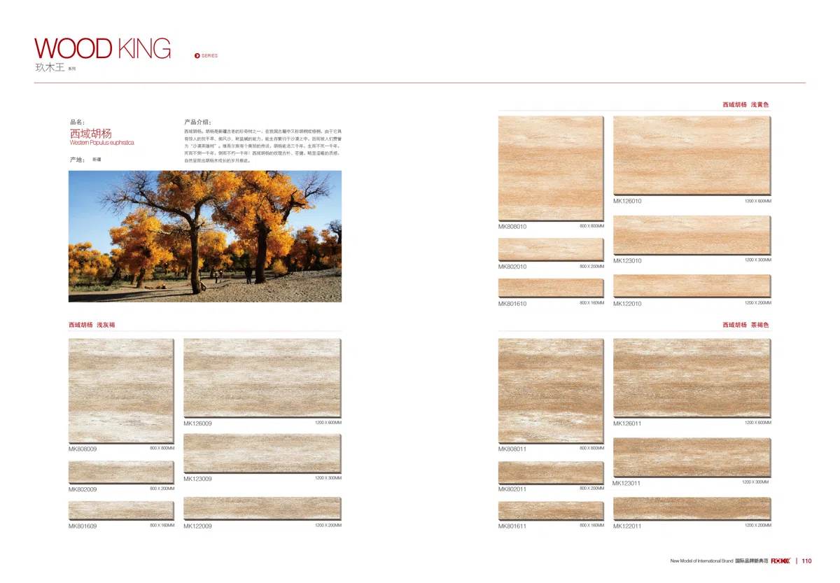Flooring, wood and stone b045