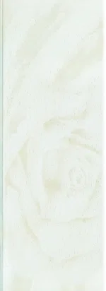 Смешанные каталоги и подборки 3-8E62366E1-WHs