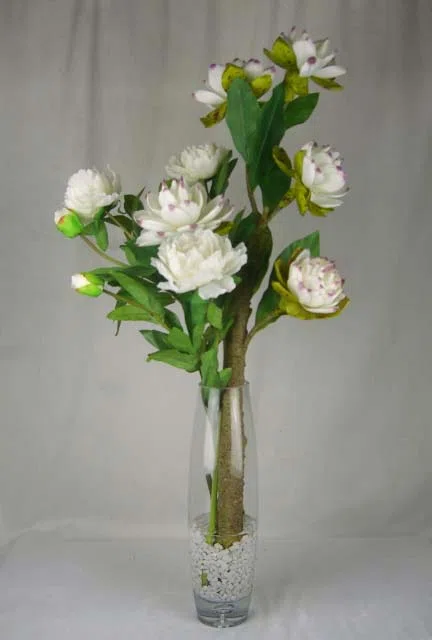 Декоративные растения и флористика 12013 38x30x80