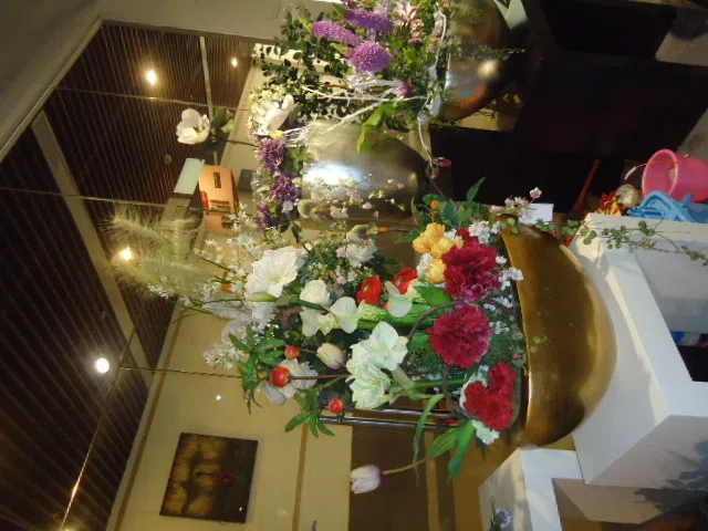 Декоративные растения и флористика DSC04245