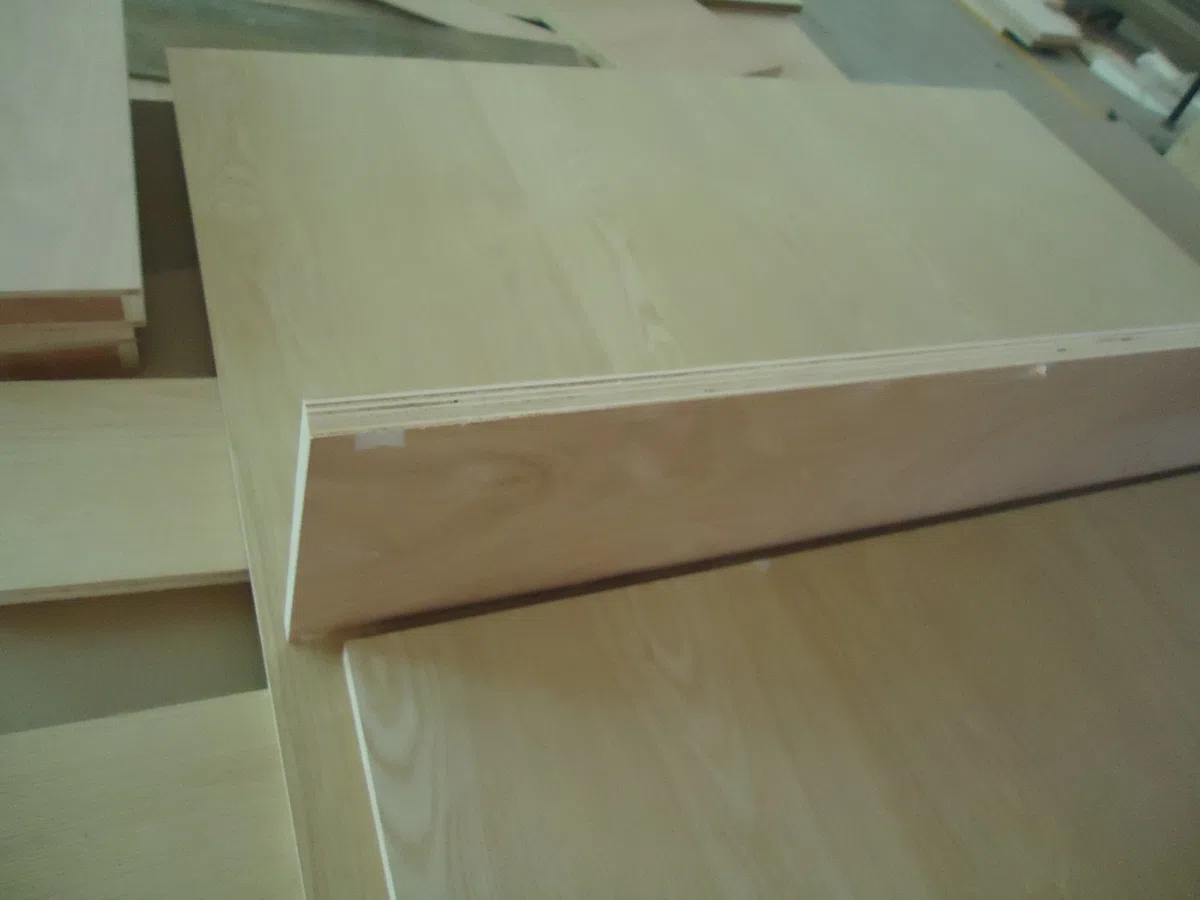 Mixed catalogues and selections DSC07705