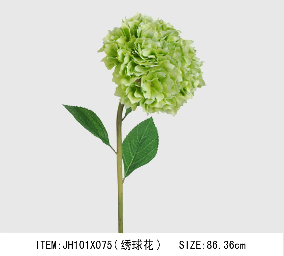装饰与室内配饰选集 JH101G075