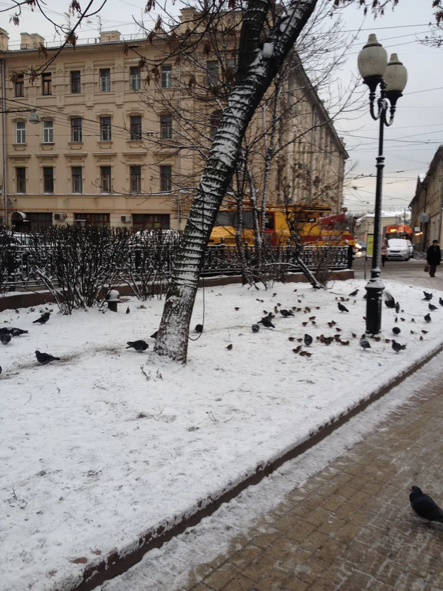 Смешанные каталоги и подборки IMG_1328