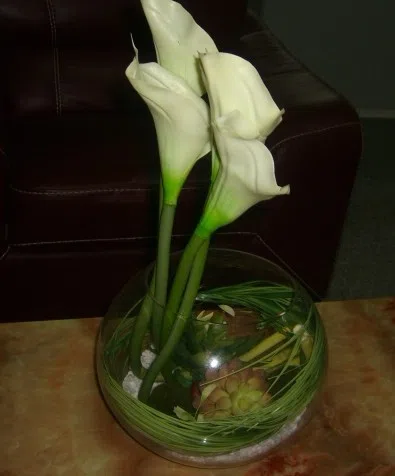 Decor and interior accessory selections 12115#