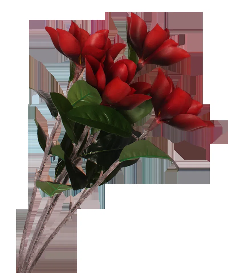 Декоративные растения и флористика DA864E043565